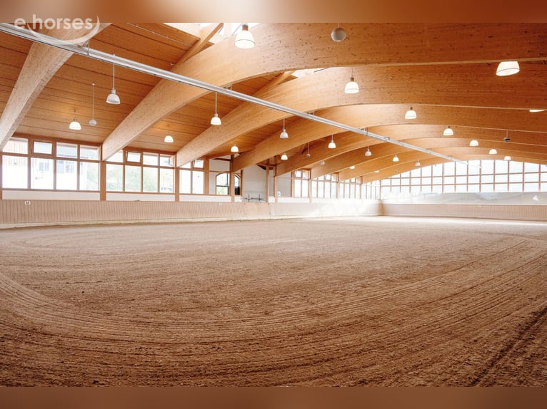 Exclusive equestrian facility with a detached house and two residential/guest houses on approximatel