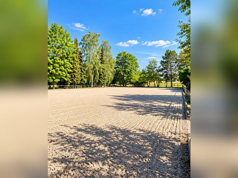 Exclusive Equestrian Facility with Clinic & Horse Rehabilitation Centre near Stuttgart