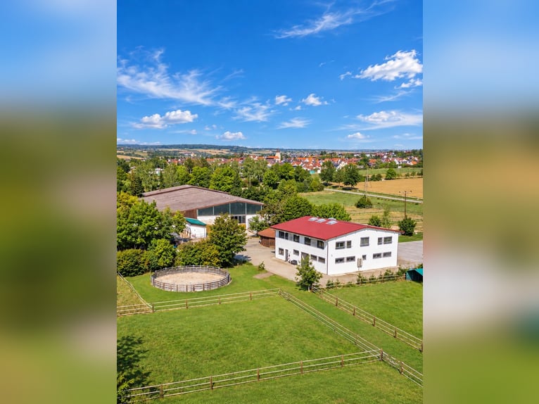 Exclusive Equestrian Facility with Clinic & Horse Rehabilitation Centre near Stuttgart