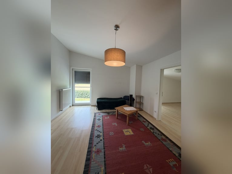 Exclusive equestrian facility with modern riding hall near Mühldorf – 388-26