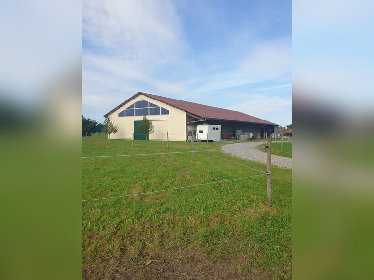 Exclusive equestrian facility with residential and investment potential in the Allgäu