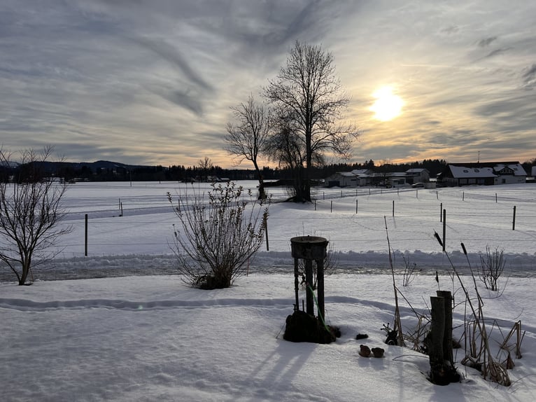 Exclusive equestrian facility with residential and investment potential in the Allgäu