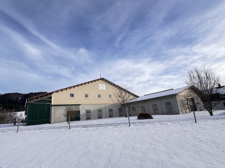 Exclusive equestrian facility with residential and investment potential in the Allgäu