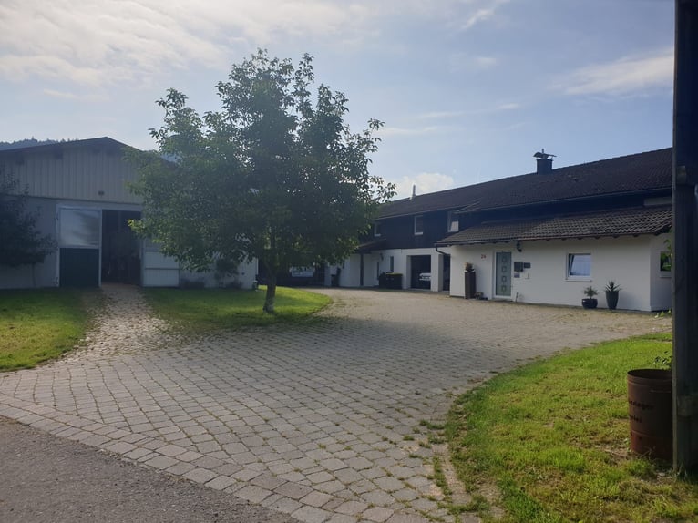 Exclusive equestrian facility with residential and investment potential in the Allgäu