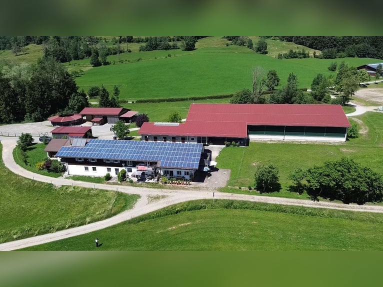 Exclusive equestrian facility with residential and investment potential in the Allgäu