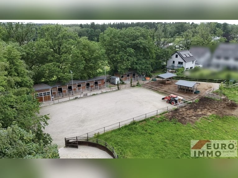 Exclusive equestrian property at the edge of the forest: residential living and professional facilit