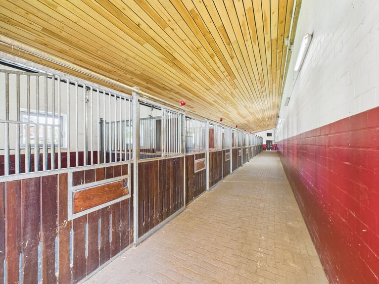 Exclusive estate featuring a stylish residence, expansive pastures, and an exceptional equestrian fa