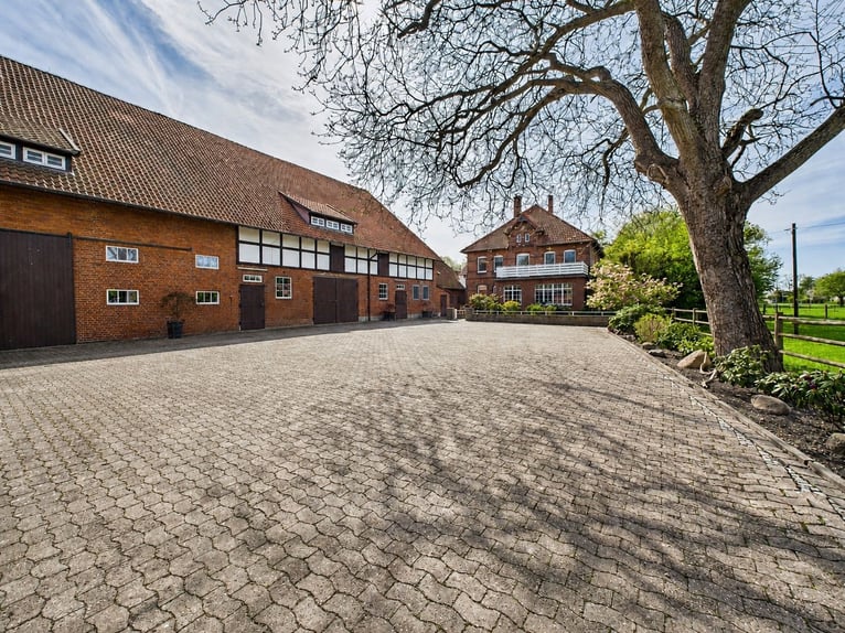 Exclusive estate featuring a stylish residence, expansive pastures, and an exceptional equestrian fa