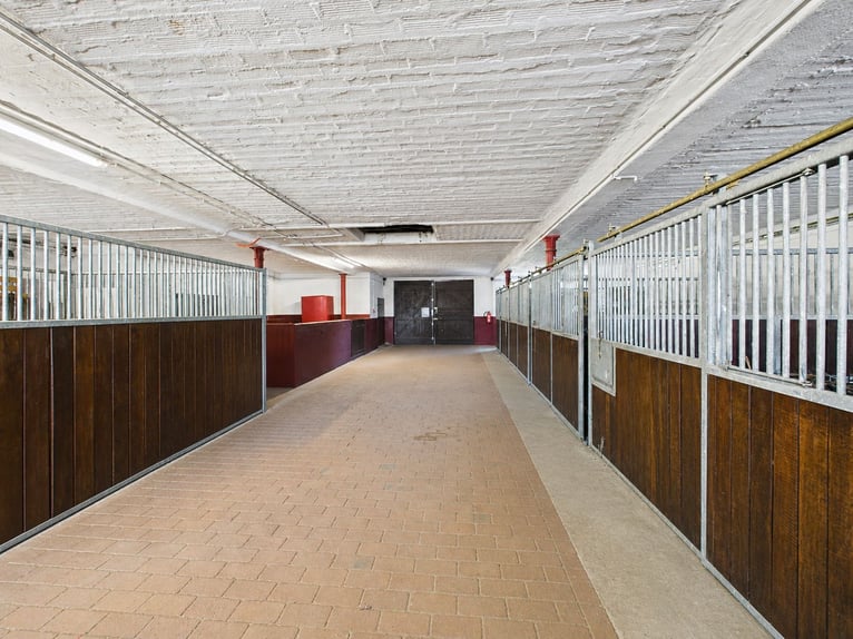 Exclusive estate featuring a stylish residence, expansive pastures, and an exceptional equestrian fa