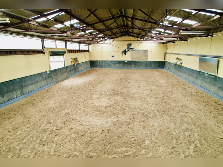 Exclusive estate with a premium riding facility in a idyllic location