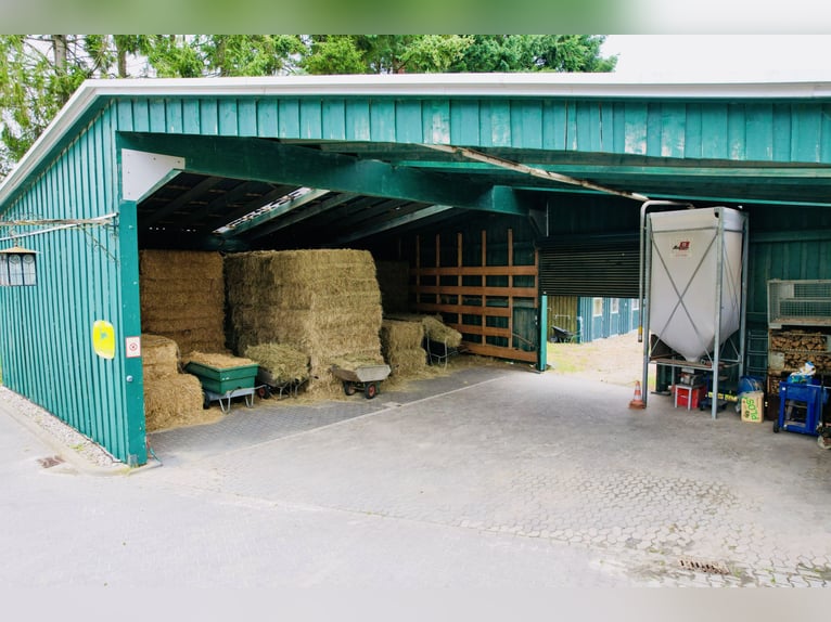 Exclusive estate with a premium riding facility in a idyllic location