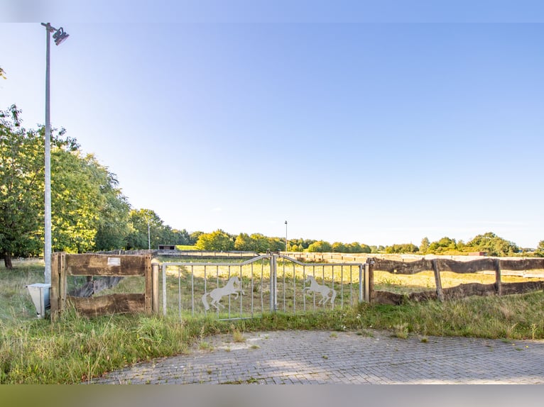 Exclusive estate with a villa, riding facilities, and an indoor arena complex located by a private l