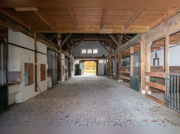 Exclusive estate with a villa, riding facilities, and an indoor arena complex located by a private l