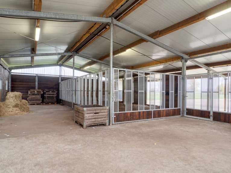 Exclusive estate with approximately 460 sqm of living space, stables, riding arena, outbuildings, an
