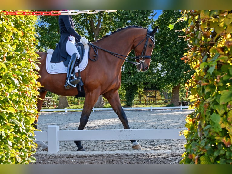 Exclusive horse stable with top-class facilities. Planning permission for extensive expansion is alr