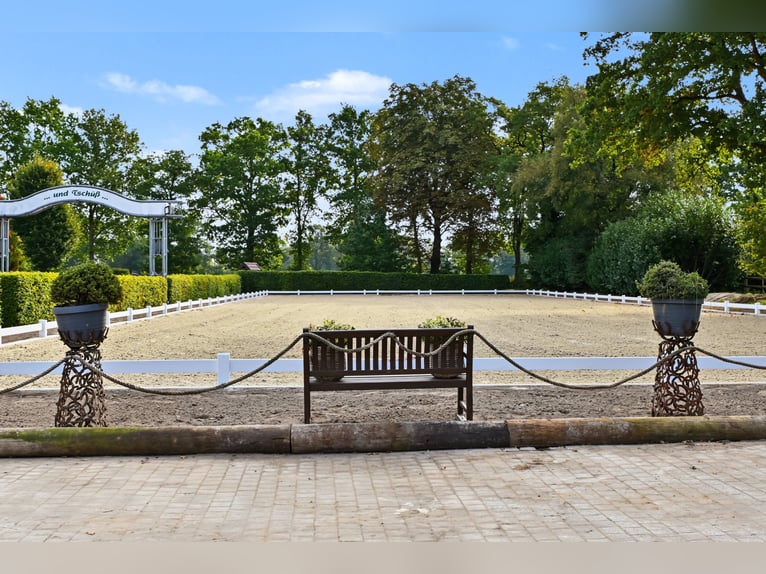 Exclusive horse stable with top-class facilities. Planning permission for extensive expansion is alr