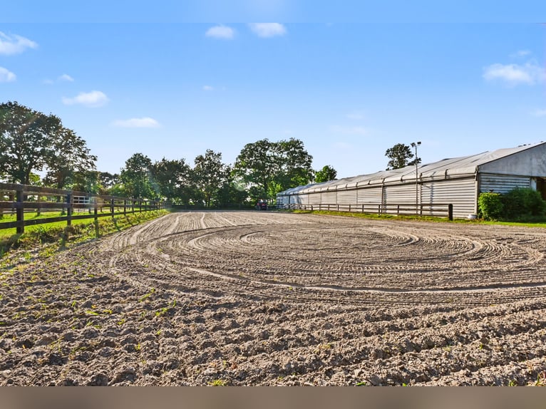 Exclusive horse stable with top-class facilities. Planning permission for extensive expansion is alr