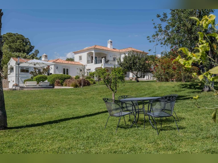 Exclusive Private Estate in the "Golden Triangle," Portugal