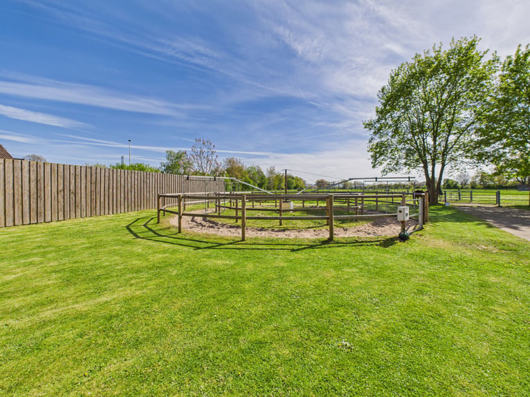 Exclusive riding estate featuring a stylish residence, extensive pastures, and an exceptional equest