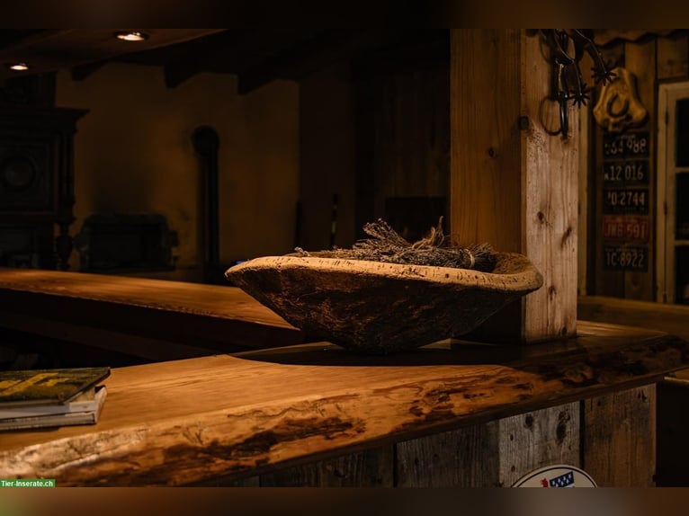 Exclusive riding estate in the Vosges