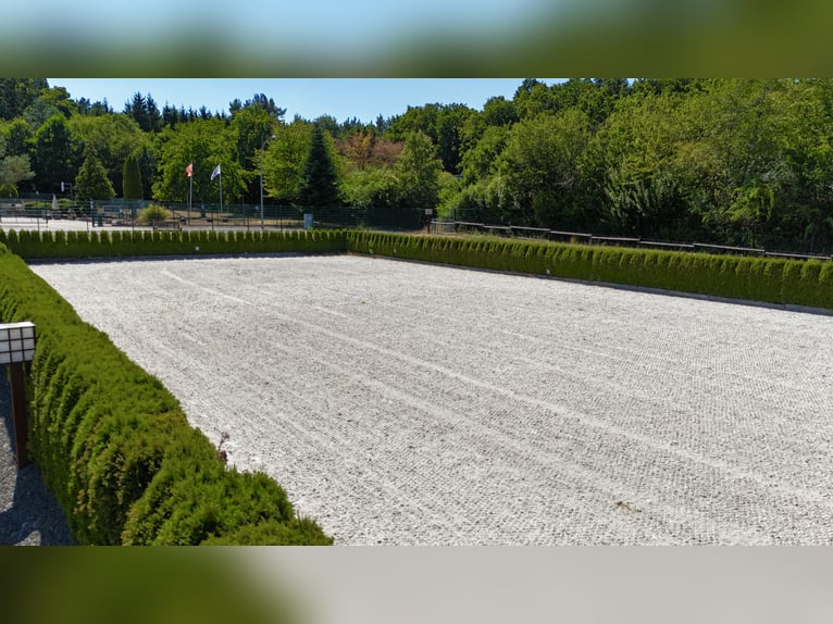 Exclusive riding facility near the Eifel National Park – high-quality amenities and convenient acces