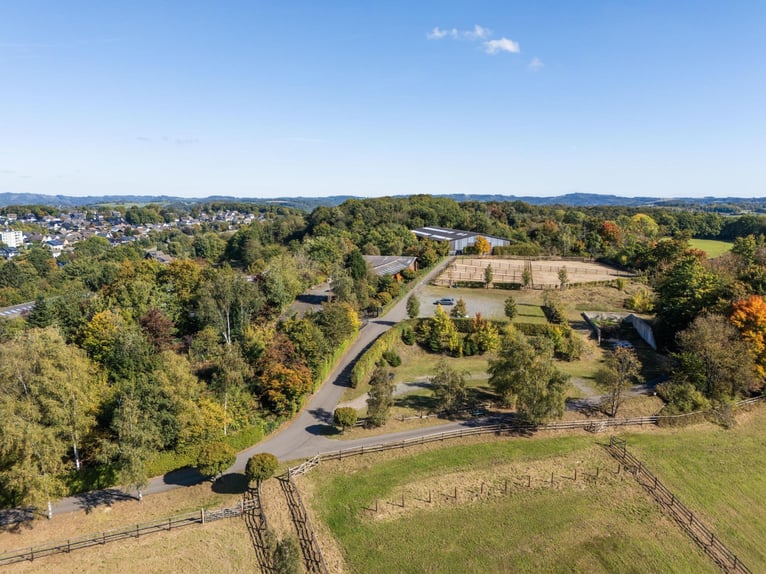 Exclusive riding facility Sommerlade in Reichshof!