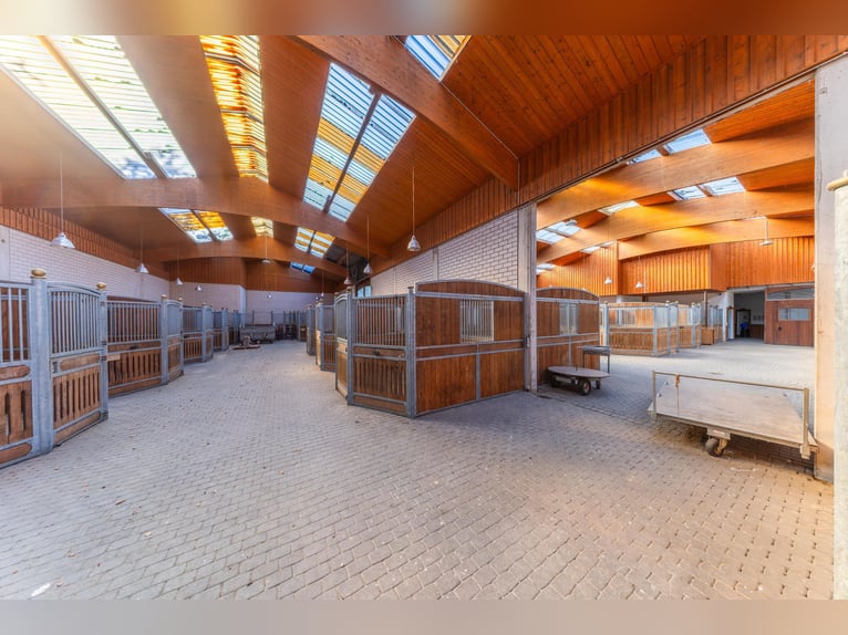 Exclusive riding facility Sommerlade in Reichshof!