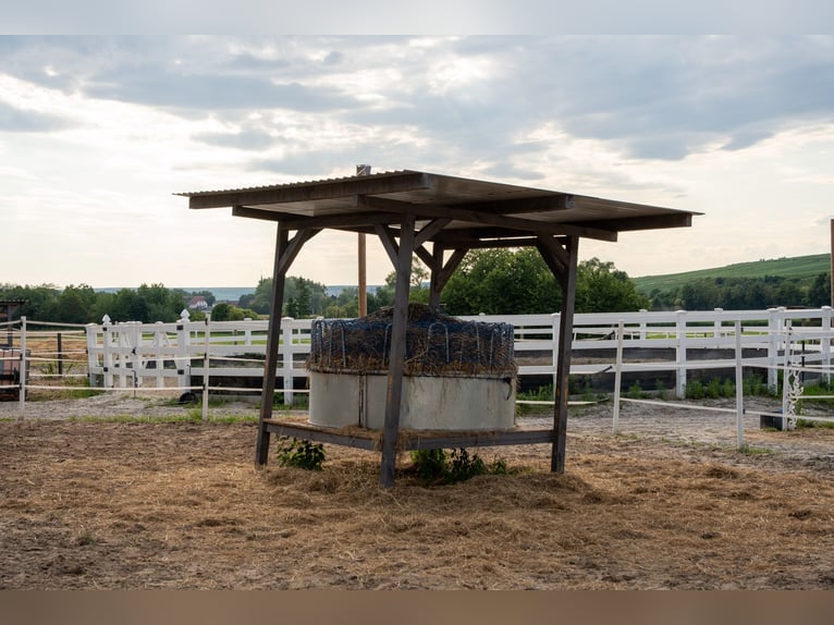Exclusive riding facility with a recently renovated main house, indoor riding arena, and spacious pa