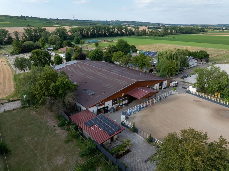 Exclusive riding facility with a recently renovated main house, indoor riding arena, and spacious pa