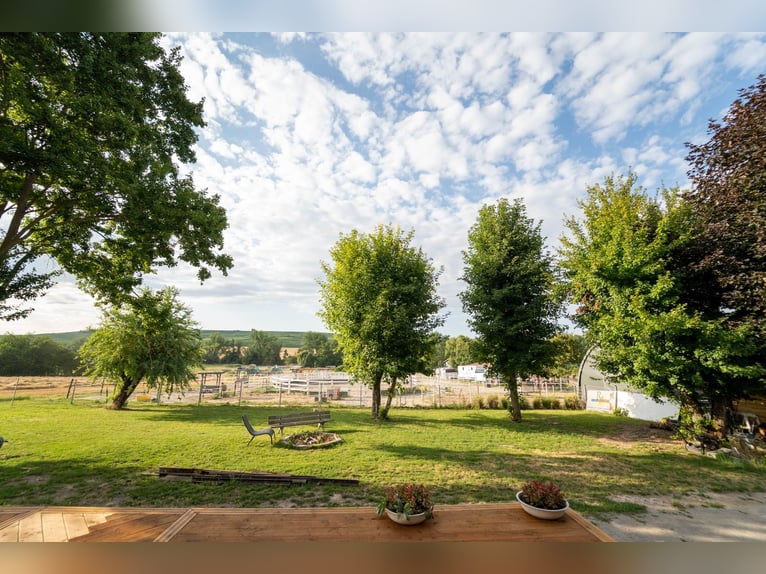 Exclusive riding facility with a recently renovated main house, indoor riding arena, and spacious pa