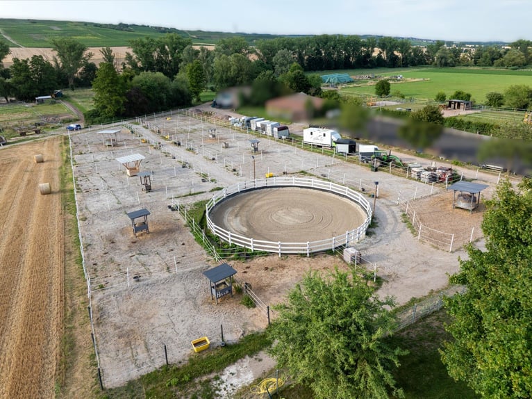 Exclusive riding facility with a recently renovated main house, indoor riding arena, and spacious pa