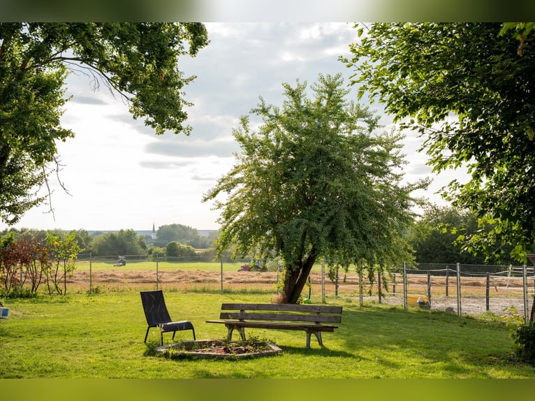 Exclusive riding facility with a recently renovated main house, indoor riding arena, and spacious pa