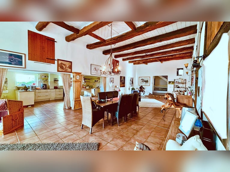 Exclusive riding facility with a spacious residence and versatile usage options in Bielefeld