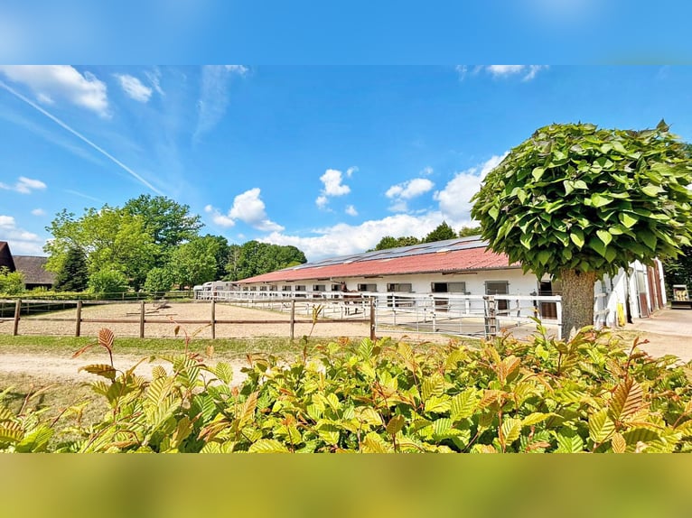 Exclusive riding facility with a spacious residence and versatile usage options in Bielefeld