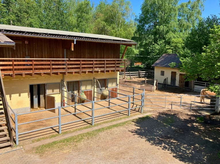 Exclusive riding facility with indoor riding arena and versatile living options in Hesse