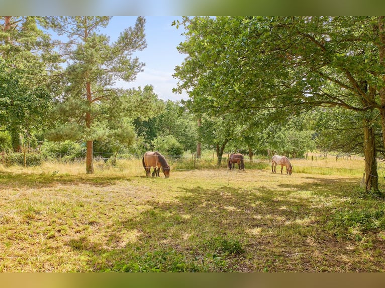 Exklusive Reitanlage in Alleinlage mit atemberaubendem Panoramablick in Rheinland-Pfalz