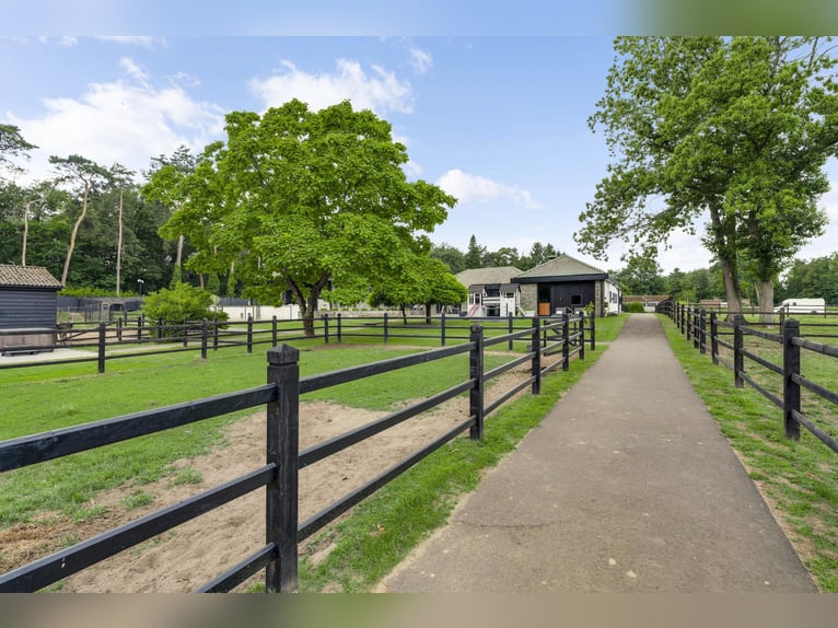 Exklusive Villa mit Gästehaus und Reitanlagen in der Nähe des Nationalparks De Meinweg