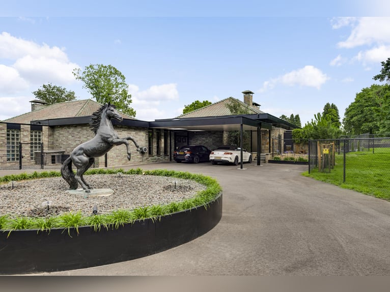 Exklusive Villa mit Gästehaus und Reitanlagen in der Nähe des Nationalparks De Meinweg