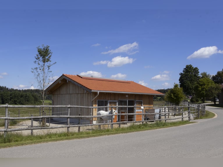 Exklusiver Pferdebetrieb im Chiemgau - PREIS AUF ANFRAGE