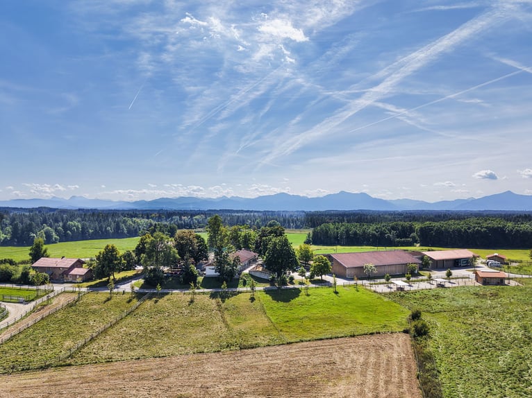 Exklusiver Pferdebetrieb im Chiemgau - PREIS AUF ANFRAGE
