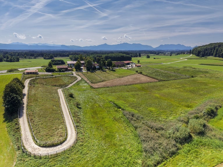 Exklusiver Pferdebetrieb im Chiemgau - PREIS AUF ANFRAGE