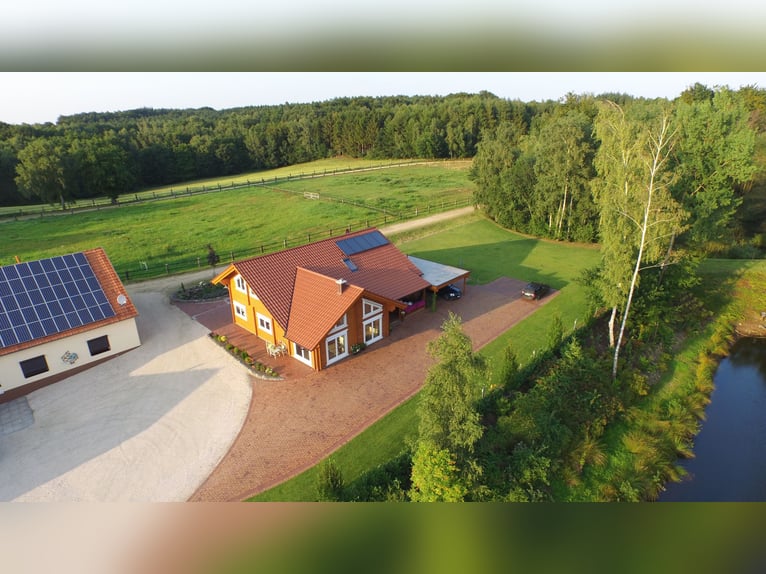 Exklusiver Pferdehof - TOP Ausstattung inkl. Photovoltaikanlage (bisher REHA Zentrum) Niedersachsen Exklusiver Pferdehof - TOP Ausstattung inkl. Photovoltaikanlage (bisher REHA Zentrum) Niedersachsen
