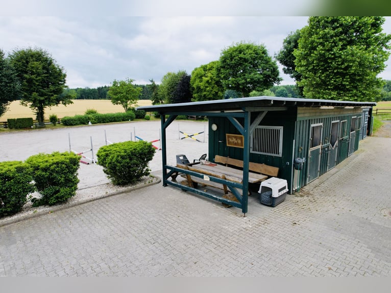 Exklusives Anwesen mit hochwertiger Reitanlage in traumhafter Lage