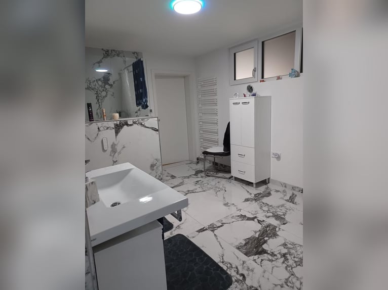 Exklusives Anwesen mit Wohnhaus, Reitanlage, Werkstatt und Photovoltaik – Sofort bezugsfertig 