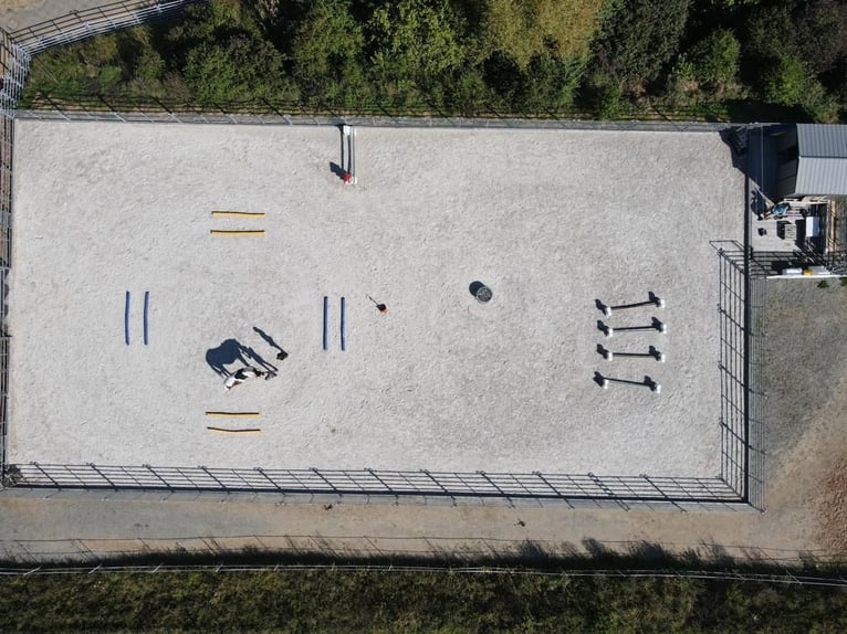 Exklusives Anwesen mit Wohnhaus, Reitanlage, Werkstatt und Photovoltaik – Sofort bezugsfertig 