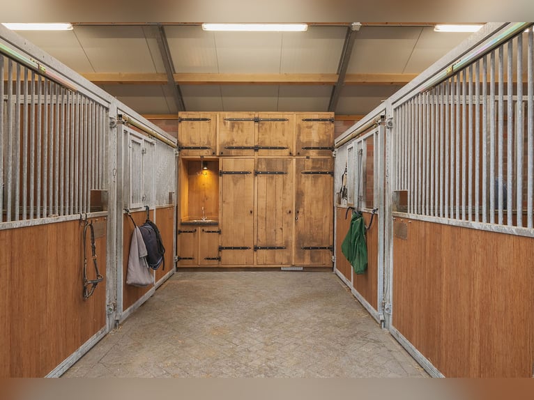 Exquisite private equestrian estate featuring an indoor arena, stables, and a luxurious residence