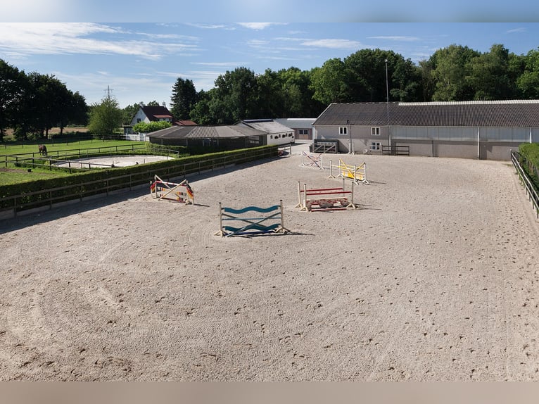 Exquisite private equestrian estate featuring an indoor arena, stables, and a luxurious residence