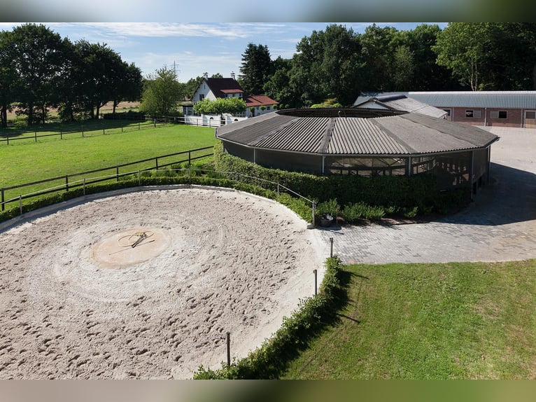 Exquisite private equestrian estate featuring an indoor arena, stables, and a luxurious residence