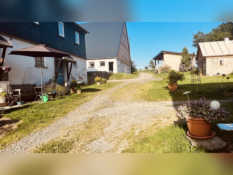 Farm estate with indoor riding arena, barn, and 45,000 sqm of land
