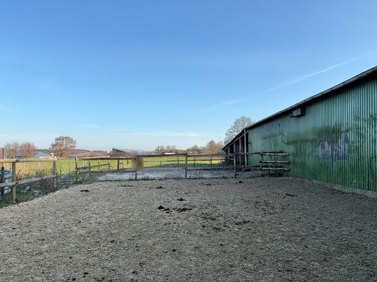 Farm for horse enthusiasts with a residential house in a picturesque village setting